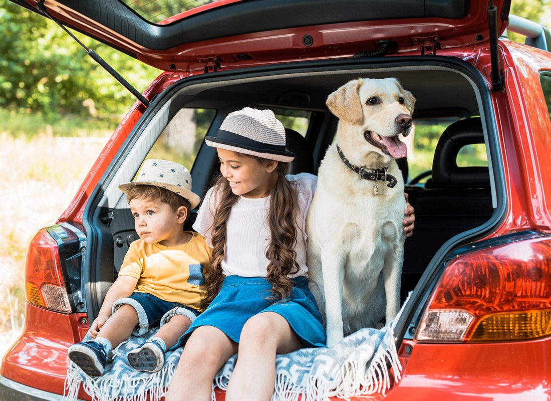 Personal Insurance - Two Young Kids Sitting With Their Dog in the Back of Their Family Car